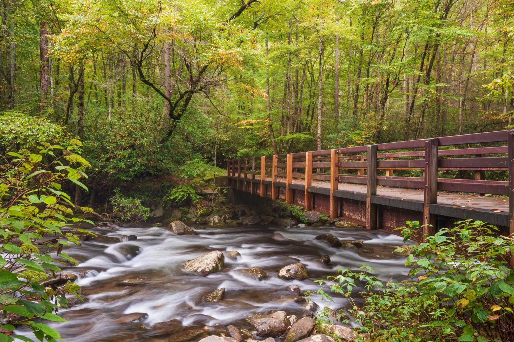 The Tiny Barn, 1089 Free Tickets Each Paid Day, Dollywood And More Севьервилл Экстерьер фото